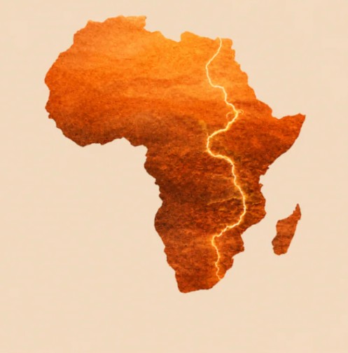 Zambezi Roots brand artwork